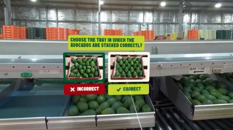 覆盖超千家门店，澳大利亚牛油果行业联手Woolworths推出全球首个VR供应链培训