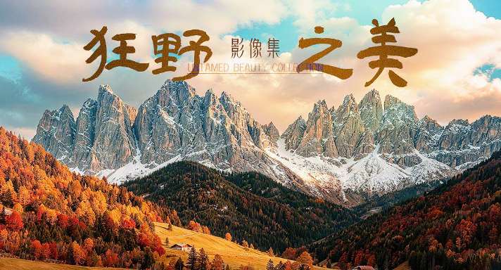 PICO视频上新:狂野之美/汉服仙子/外星奇异草原