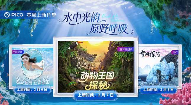 PICO视频上新：美女潜韵/动物王国/雪洞探险