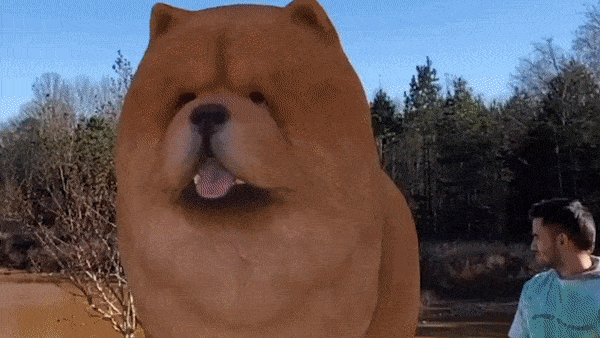 最新资讯谷歌为其应用程序与Chrome浏览器新添50款AR动物