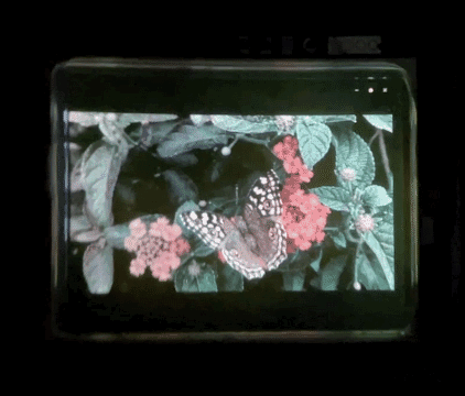 最新资讯Saphlux推出0.39英寸全彩Micro-LED显示器