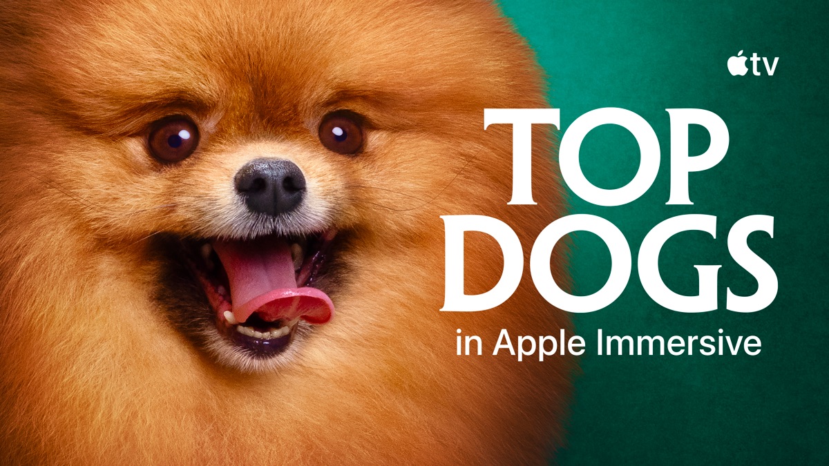 最新资讯Vision Pro沉浸式视频《Top Dogs》现已上线