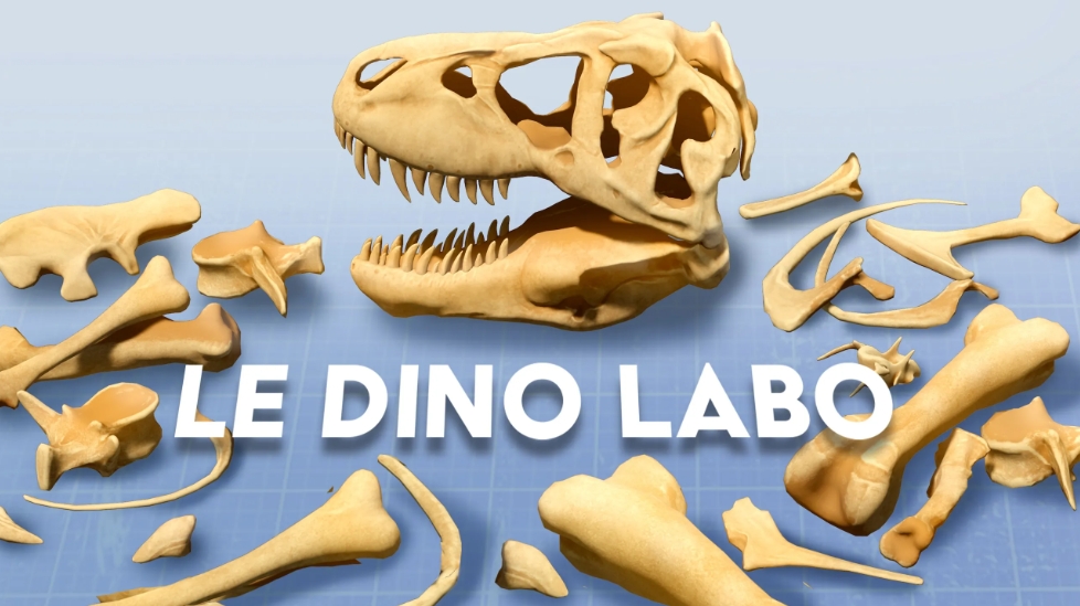 游戏模拟恐龙骨骼拼装的MR游戏《Le Dino Labo》已登陆Quest