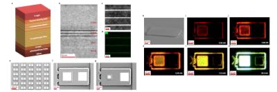 最新资讯种子轮融资1500万元，Nexliumen推动金刚石基Micro-LED商业化