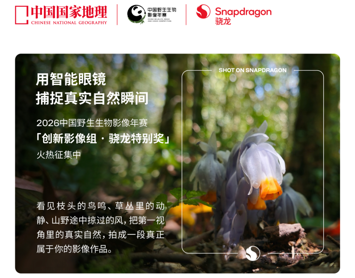 最新资讯从手机到AI眼镜，高通和中国国家地理正在打开自然影像的第一人称时代
