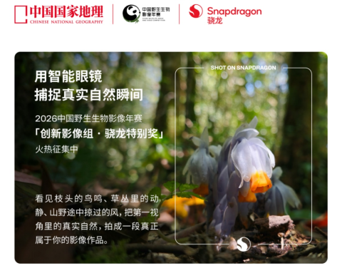 AI眼镜20+款AI眼镜搭载，骁龙占据市场主导