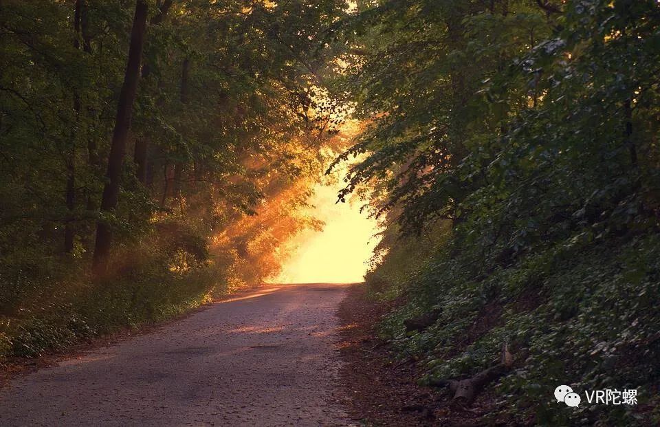 行业活动揭秘金三银四XR人才需求现状