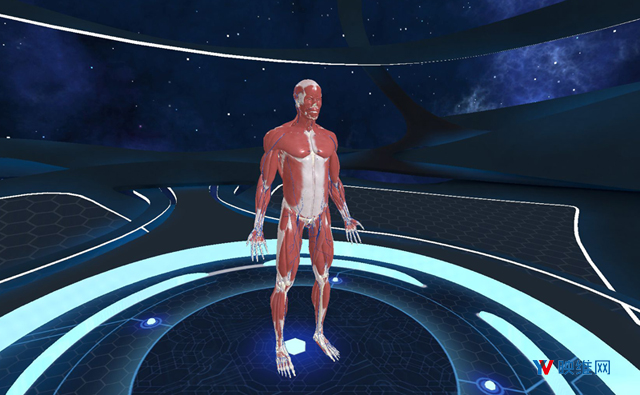 PlayStation VR Store 每周新内容