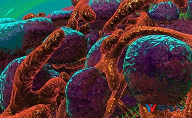 科学家用VR可视化亚细胞世界