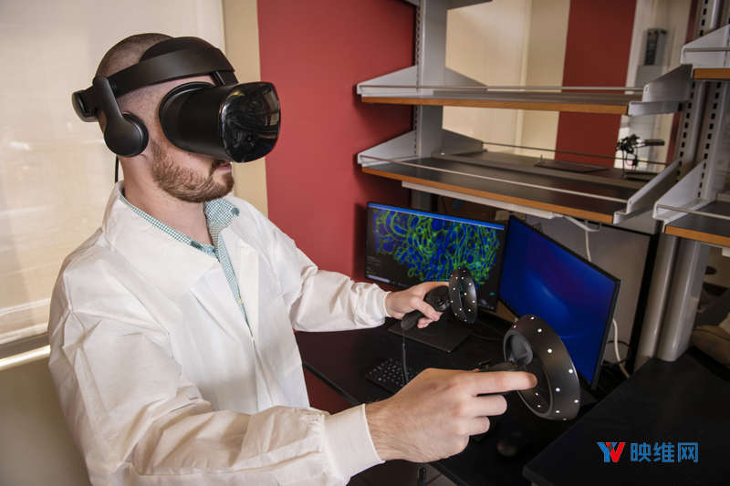 科学家整合VR和显微技术，开展大尺寸细胞结构探索分析