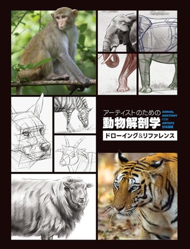 艺术家的动物解剖学：素描与参考 – 了解动物结构！《Animal Anatomy for Artists: A visual guide to the animal form》日文版书籍！终于面向日本于2025年11月下旬发售！