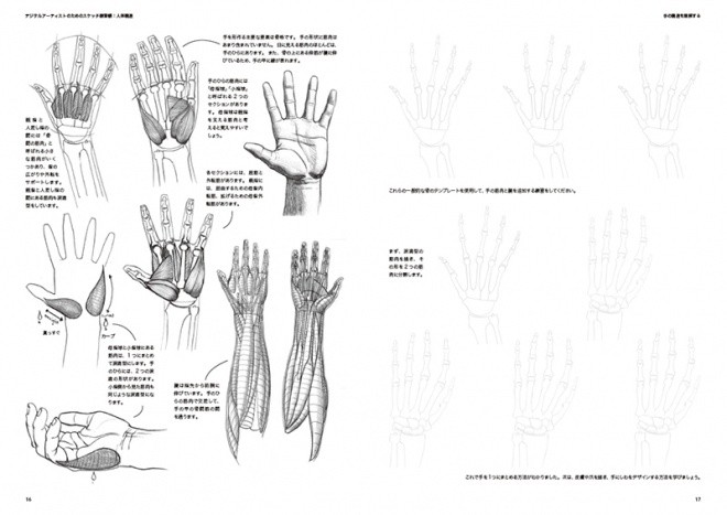 Sketch Workshop Anatomy02