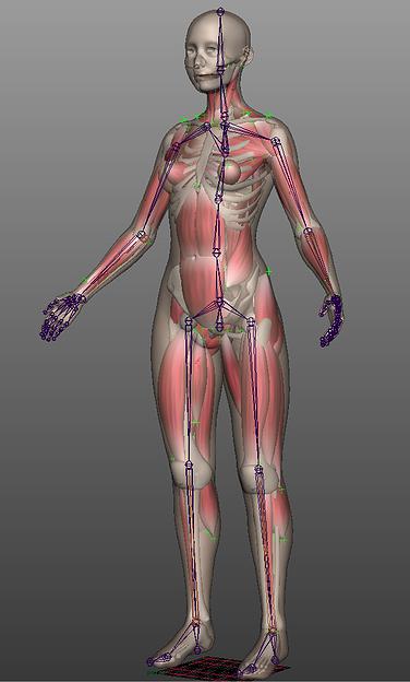 Saya-Wip03
