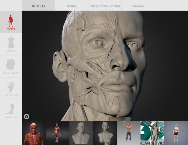 Anatomy Next 2