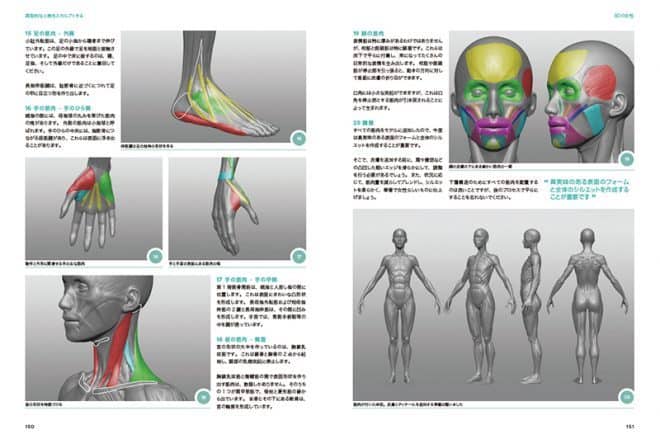 3danatomy_08
