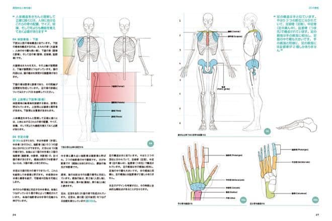 3danatomy_02