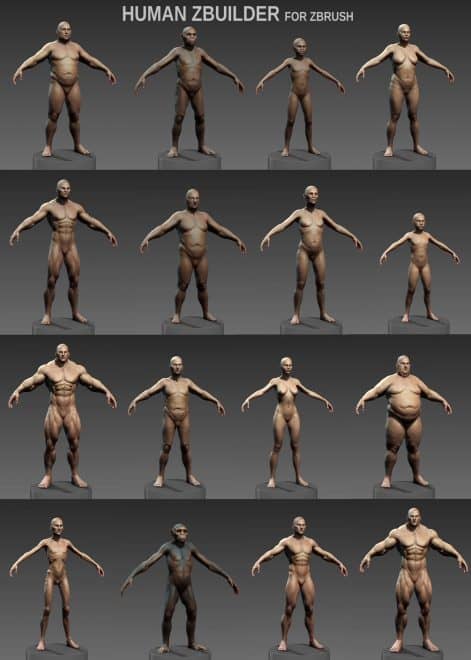 HumanZbuilder v2 – 人形素体生成ZBrush插件！新版本！