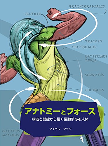 解剖学与力：从结构与功能描绘充满动感的人体——Michael Mattesi 著书《FORCE: Drawing Human Anatomy》日文版要来了！