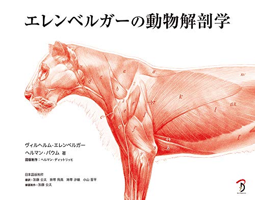 埃伦贝格的动物解剖学 – 动物解剖学的经典名著复刻！值得拥有的参考资料 2020年1月下旬发售！