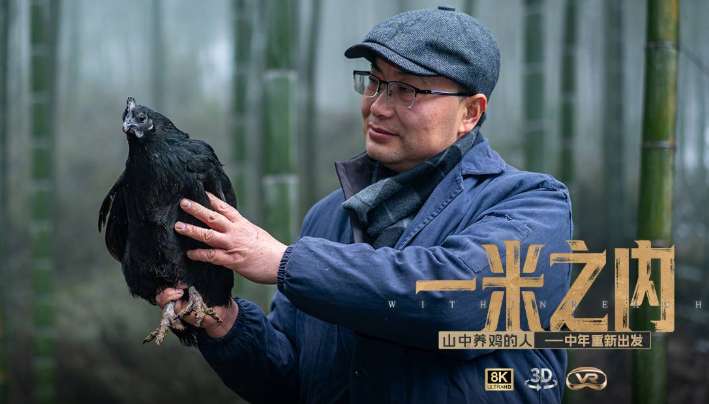 PICO视频春节上新，共七部新片