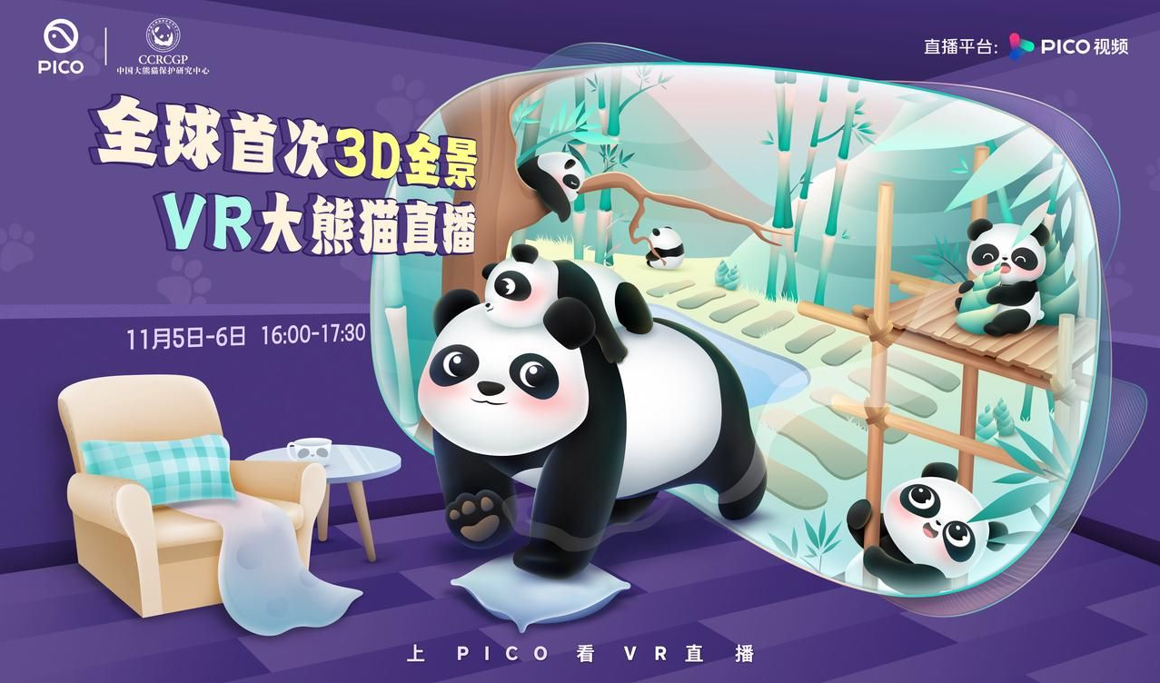 VR打造文旅新体验：来PICO视频，足不出户VR看大熊猫