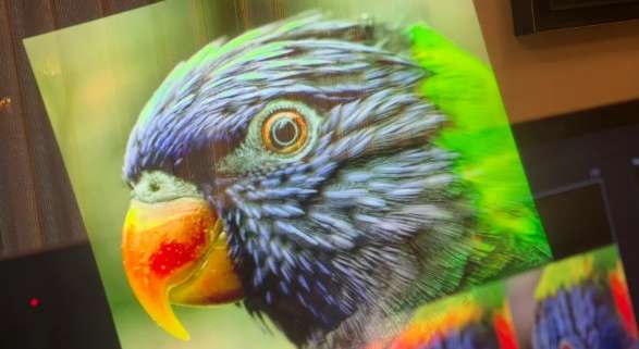 承诺提供全彩保真度，Lumus 70度视场智能眼镜初体验