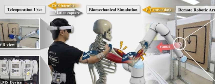 研究员研发TelePulse触觉系统，实现VR远程机器人精准力反馈