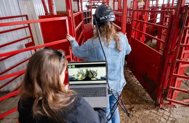 威斯康星大学用XR眼镜培训牲畜处理员，体验“透过牛眼看世界”