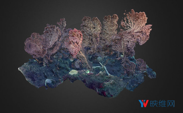 水族馆利用VR让用户身临其境地探索真实深海世界