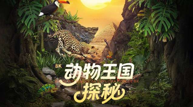 PICO视频上新：美女潜韵/动物王国/雪洞探险