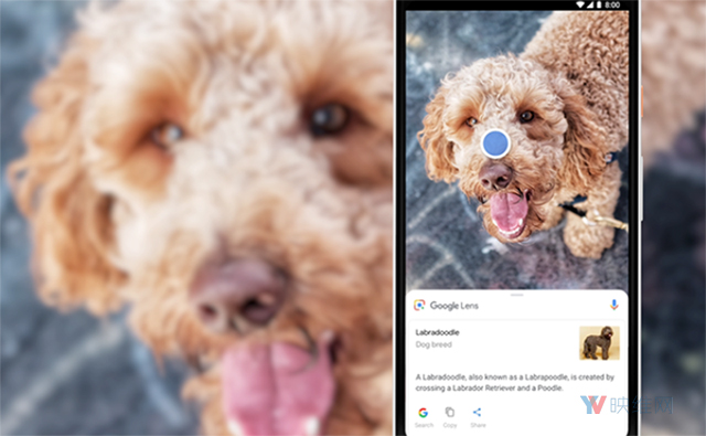 Google Lens宣布三项更新，更智能快速识别呈现AR信息