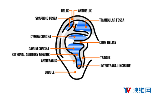 Facebook AR/VR团队研究能够根据耳朵照片生成精确HRTF的可扩展解决方案