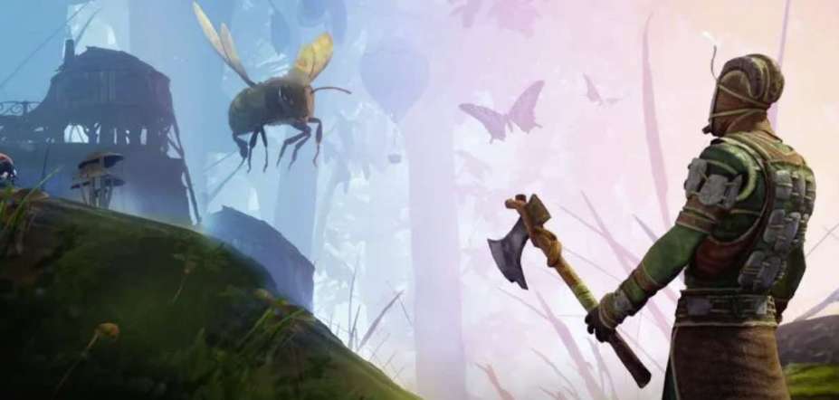 Meta Store 每周新内容