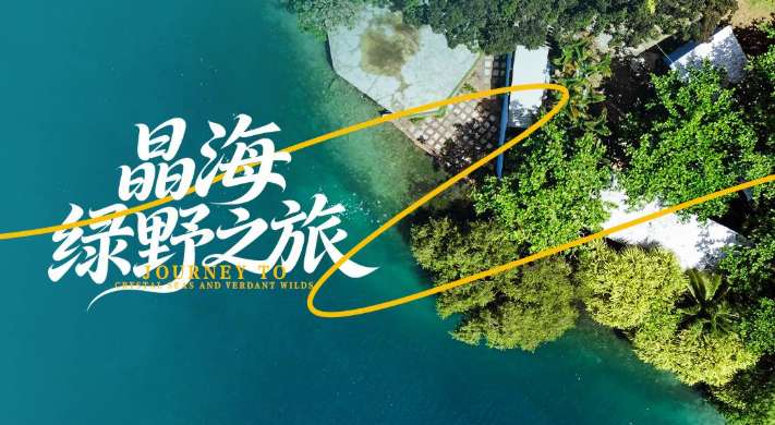 PICO视频上新:一米之内/蓝白格纹少女/晶海绿野之旅