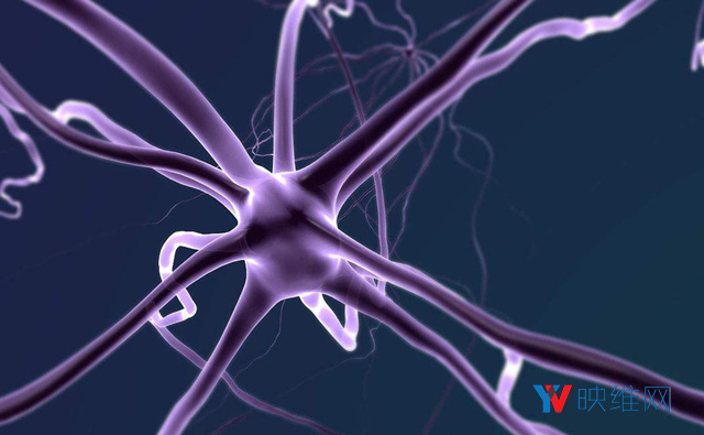 只需图像传感器+漫射板，科学家研发出低成本光场相机