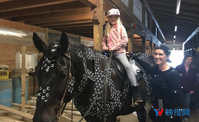 如何为马匹做全身动捕？四匹马、44台摄像机，Animatrik详述马匹动捕细节