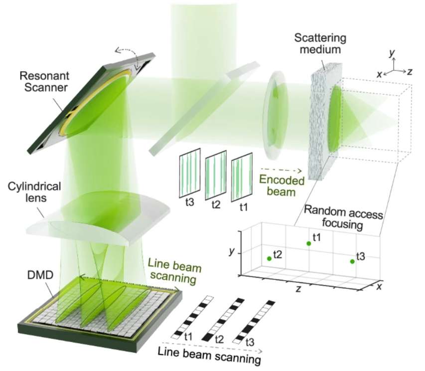 研究员提出超快全息聚焦方法，将2D-SLM转换为超快1D-SLM