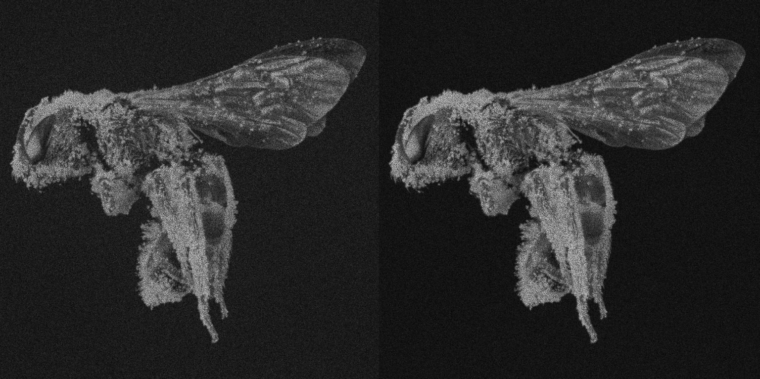 VividQ全息显示技术的三大改进：对比度、降噪和色彩平衡
