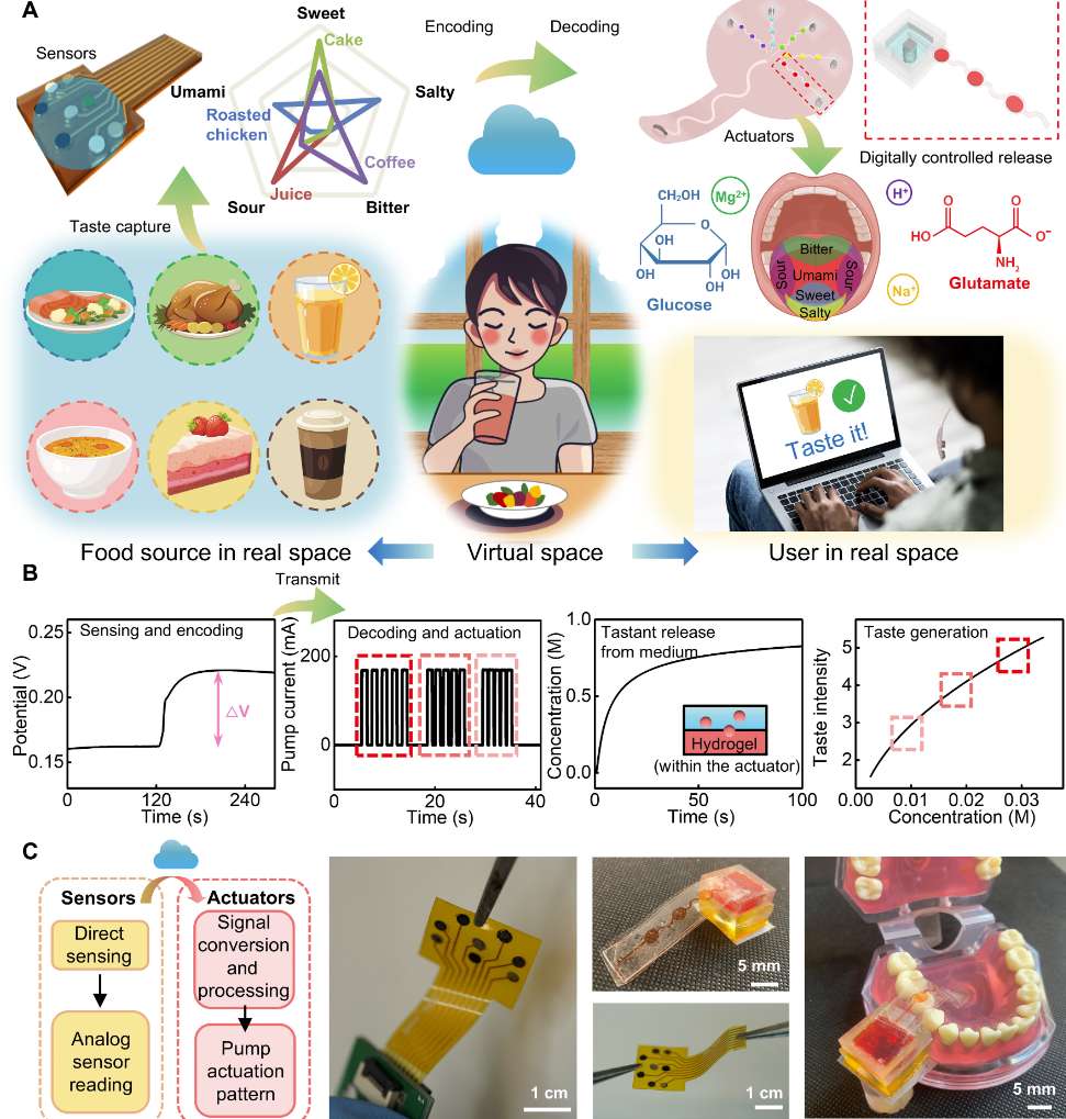 俄亥俄州立大学团队研发“e-Taste”，为XR体验增添味道